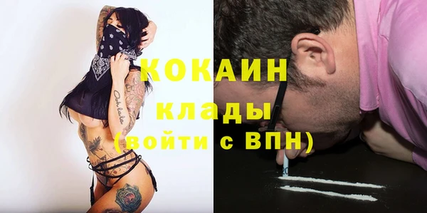 Альфа ПВП Каменка