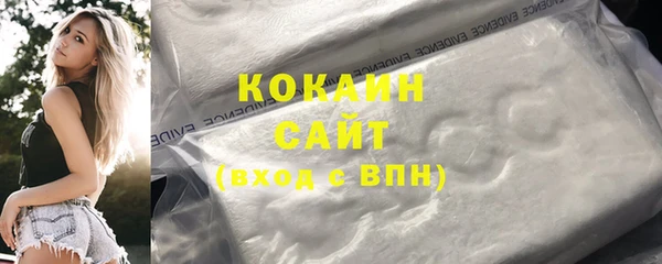индика Каменск-Шахтинский