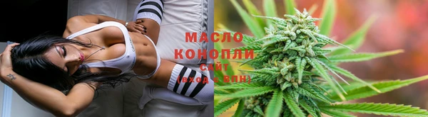 соль ск Каменногорск