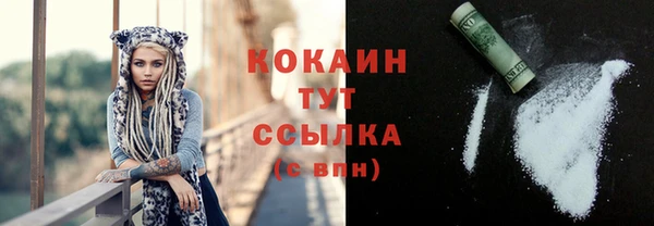 Альфа ПВП Каменка