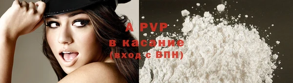 индика Каменск-Шахтинский