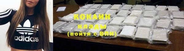 Альфа ПВП Каменка