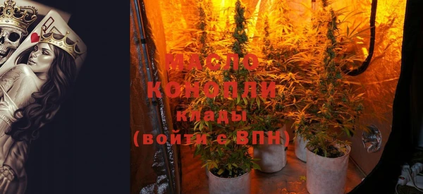 индика Каменск-Шахтинский