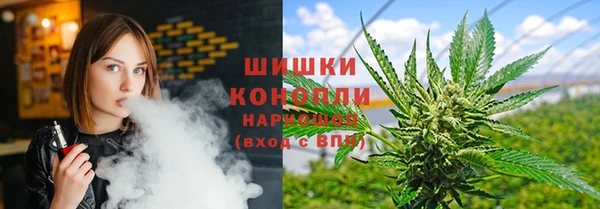 соль ск Каменногорск