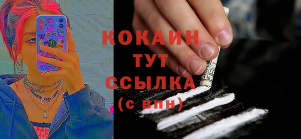 индика Каменск-Шахтинский