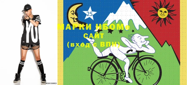 индика Каменск-Шахтинский